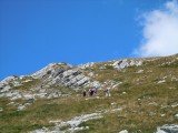 14. uspon
